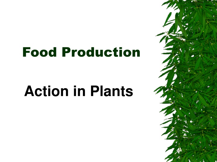 Plant & Animal Cell Structures and Photosynthesis Process