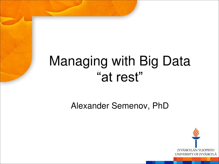 Managing Big Data at Rest with Alexander Semenov, PhD
