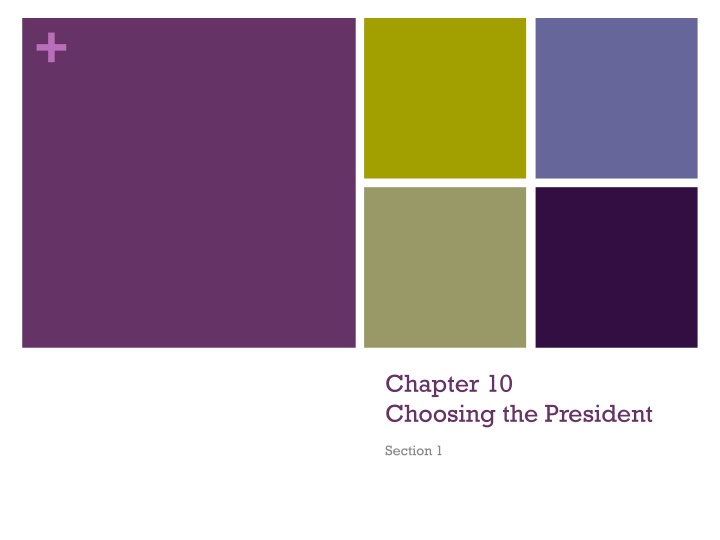 Presidential Selection Criteria and Responsibilities