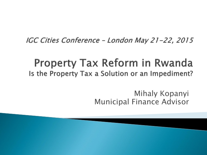 Mihaly Kopanyi Municipal Finance Advisor