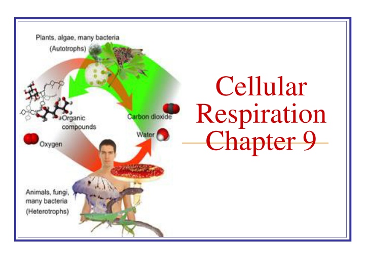 Chapter 9
