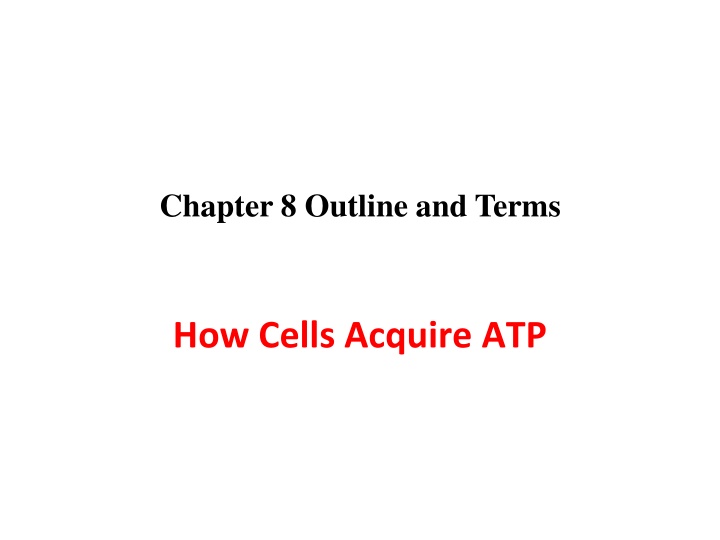 How Cells Acquire ATP: Cellular Respiration Overview