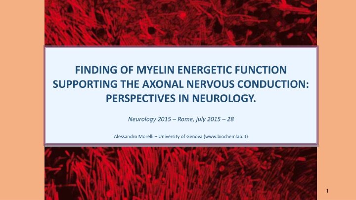 FINDING OF MYELIN ENERGETIC FUNCTION SUPPORTING THE AXONAL NERVOUS CONDUCTION: PERSPECTIVES IN NEUROLOGY