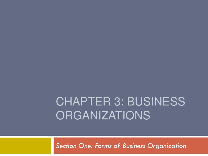 Forms of Business Organizations - Overview and Advantages