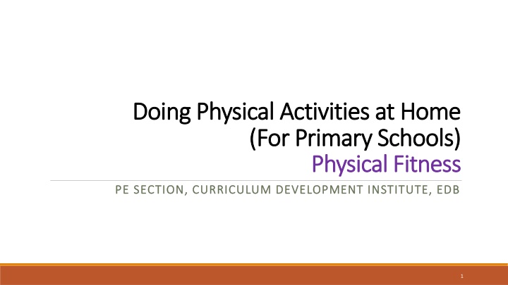 Physical Fitness Activities for Primary Schools at Home