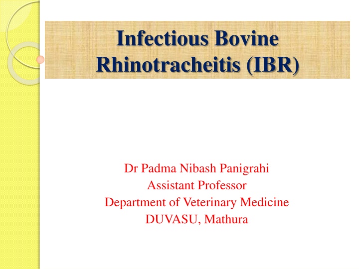 Infectious Bovine  Rhinotracheitis (IBR)