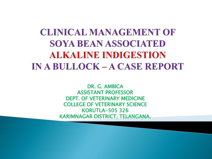 Assistant Professor in Veterinary Medicine at College of Veterinary Science, Korutlakarim Nagar
