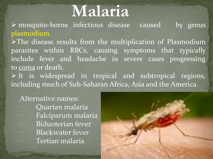 Malaria: Causes, Symptoms, and Paroxysms