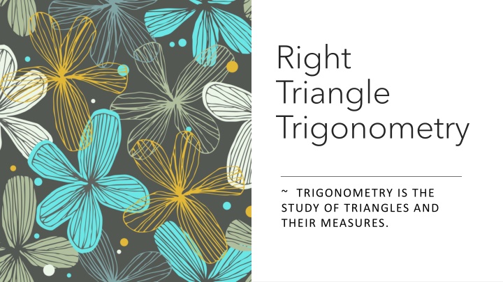 Right Triangle Trigonometry Essentials