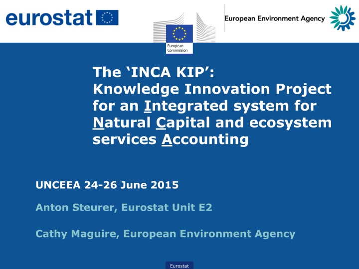 Accounting for Ecosystems at EU Level: Challenges and Innovations
