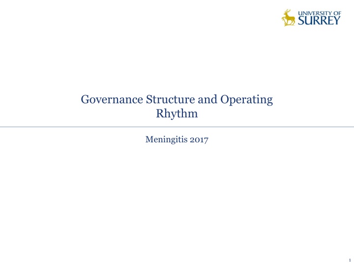Governance Structure and Operating  Rhythm