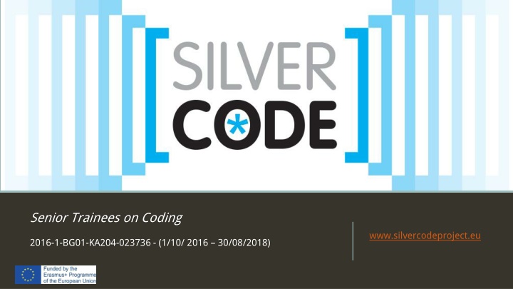 Senior Trainees on Coding