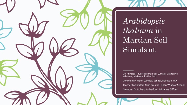 Growing Arabidopsis thaliana in Martian Soil Simulant: An Innovative Experiment