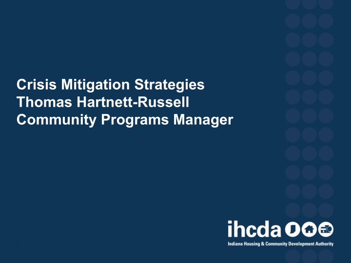 Crisis Mitigation Strategies Overview