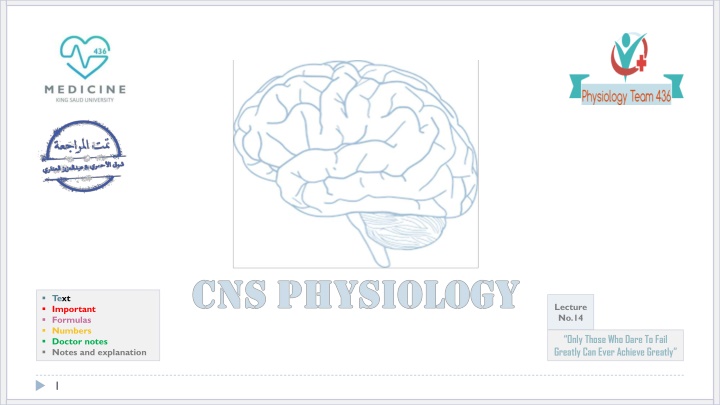 The Physiology of Proprioception in Balance