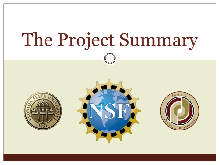 The Project Summary