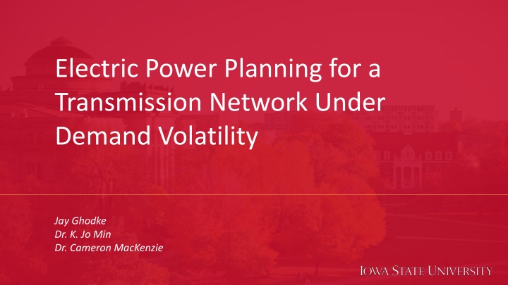 Electric Power Network Optimization