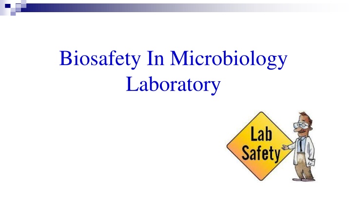 Biosafety In Microbiology  Laboratory