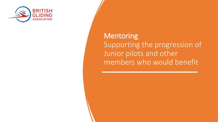 Supporting Junior Pilots: Mentoring for Progression