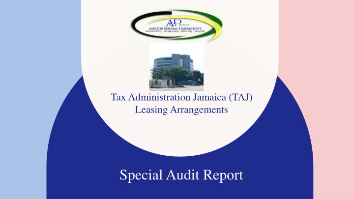 Special Audit Report