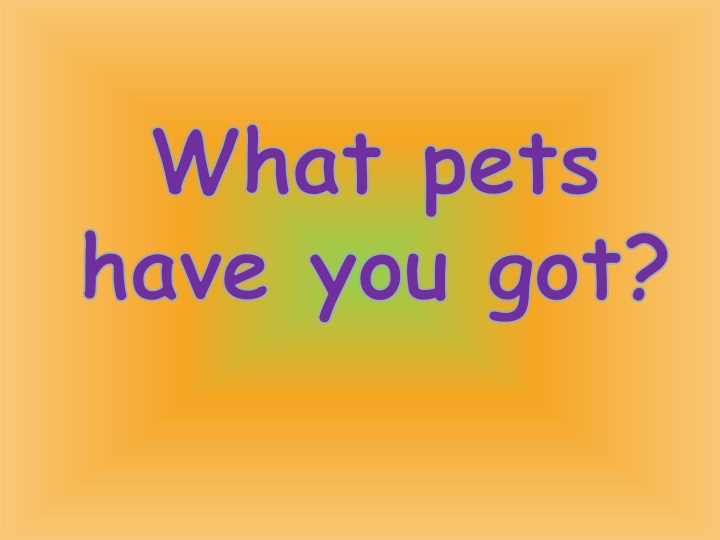 Inquire about Pet Possessions