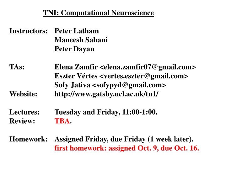Neuroscience at UCL: Computational Brain Insights