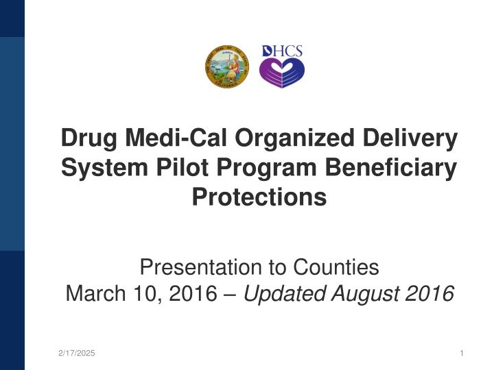 Drug Medi-Cal Organized Delivery System Pilot Program