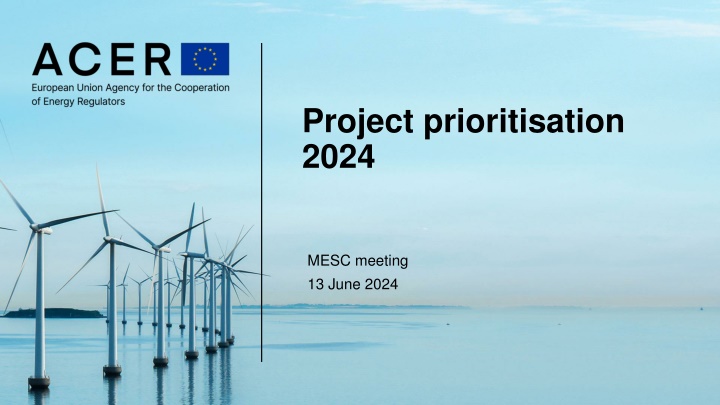Project Prioritisation 2024 MESC Meeting - Regulatory Projects Planning and Portfolio