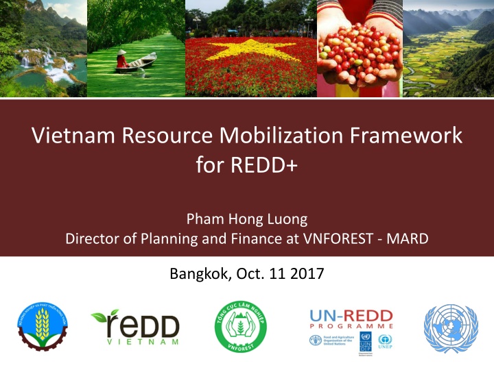 Vietnam Resource Mobilization Framework  for REDD+