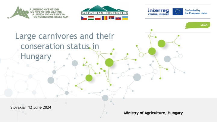 Conservation Status of Large Carnivores in Hungary and Slovakia
