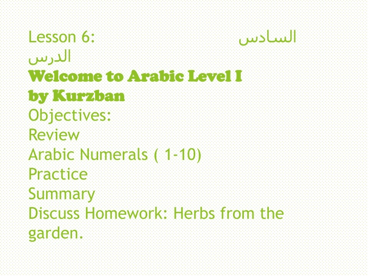 Arabic Numerals Review and Vocabulary Practice