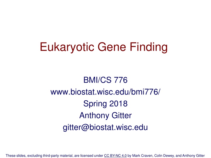 Eukaryotic Gene Finding