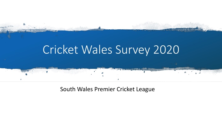 Cricket Wales Survey 2020