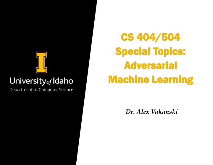 Adversarial Machine Learning in Cybersecurity