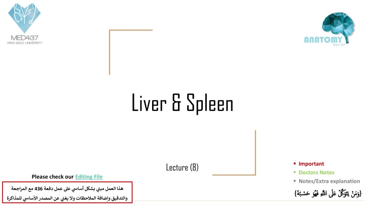 Liver & Spleen