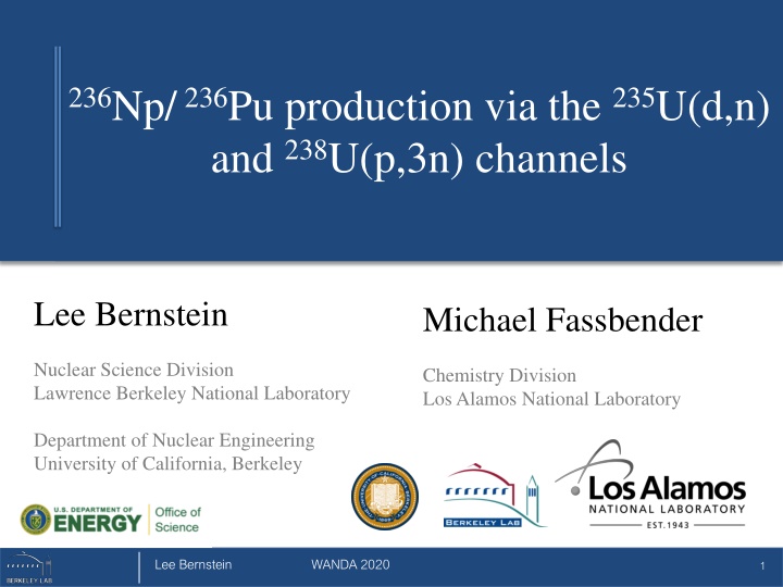 Production of Neptunium-236 and Plutonium-236