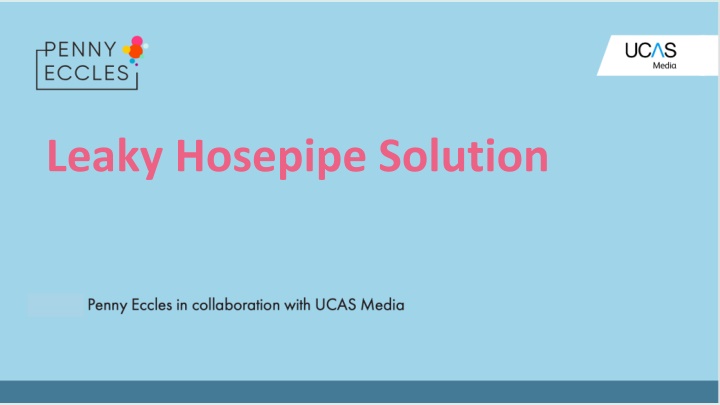 Leaky Hosepipe Solution