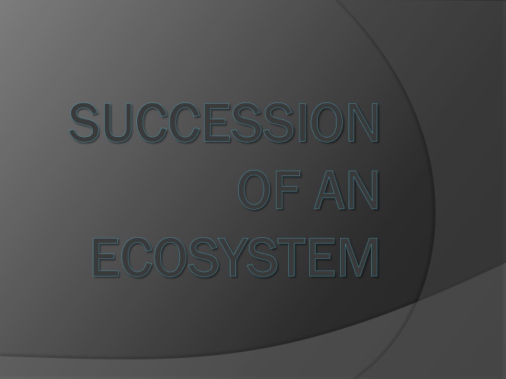 Ecosystem Succession