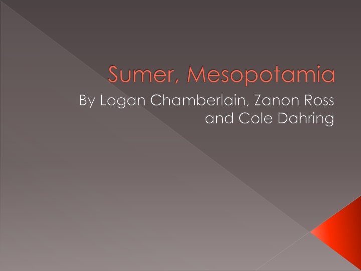 Insights into Sumerian Culture