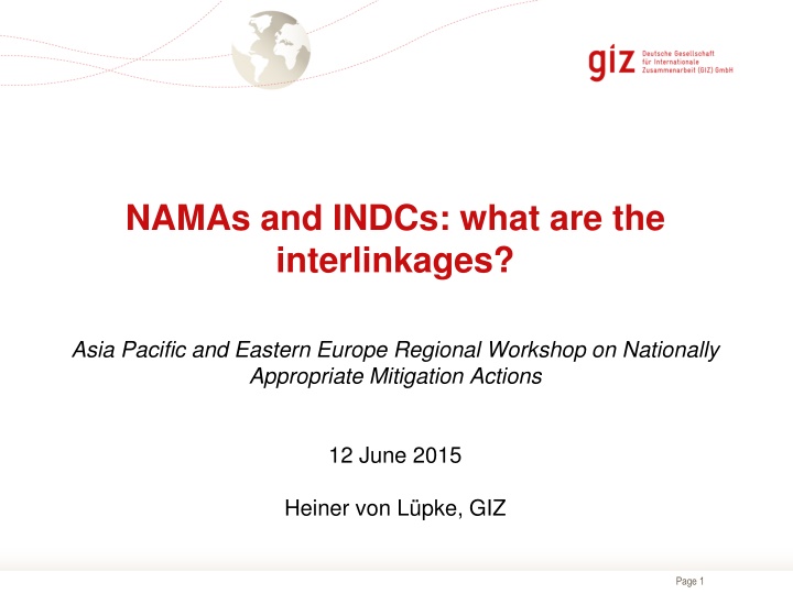 Interlinkages Between NAMAs and INDCs in Climate Mitigation