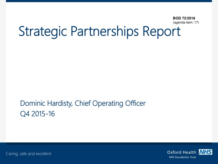 Strategic Partnerships Report Summary
