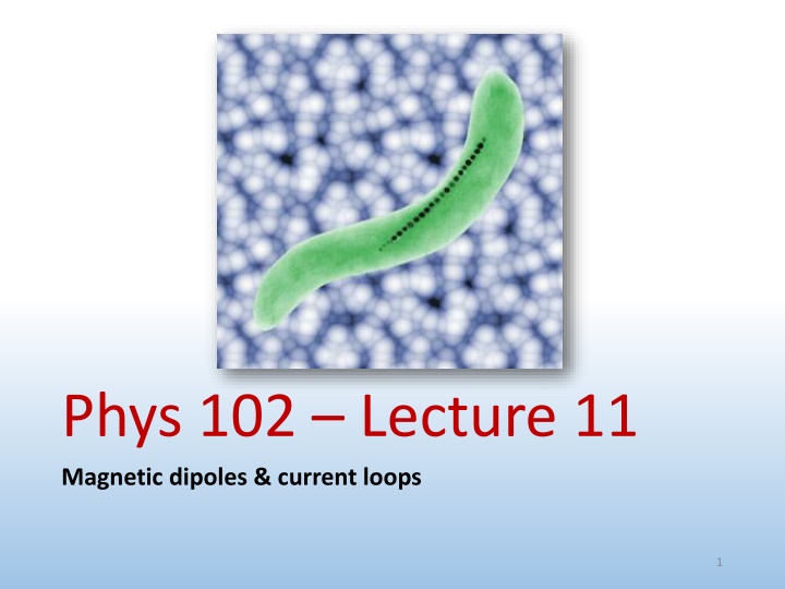 Magnetic Dipoles and Current Loops: Understanding Concepts