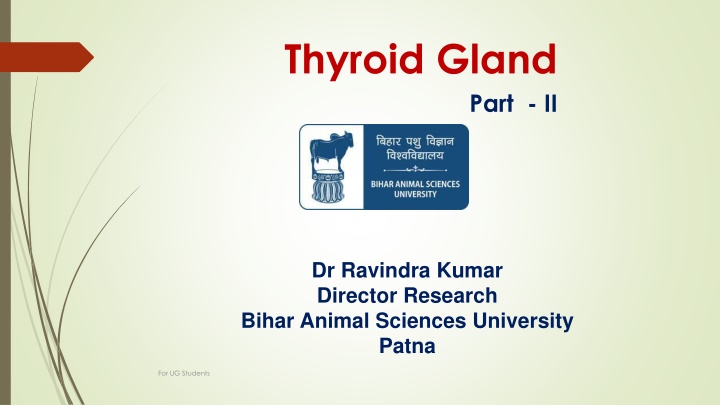 Thyroid Gland Functions and Dysfunctions