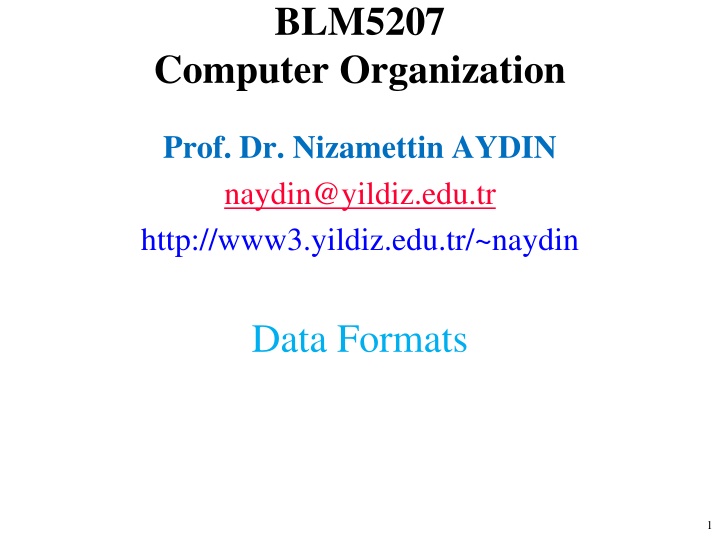 Data Formats in Computer Systems