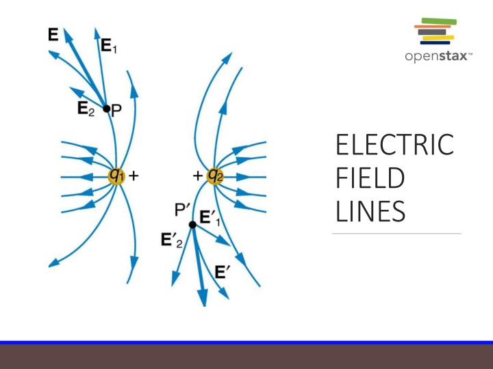 Electric Field Lines and Point Charges