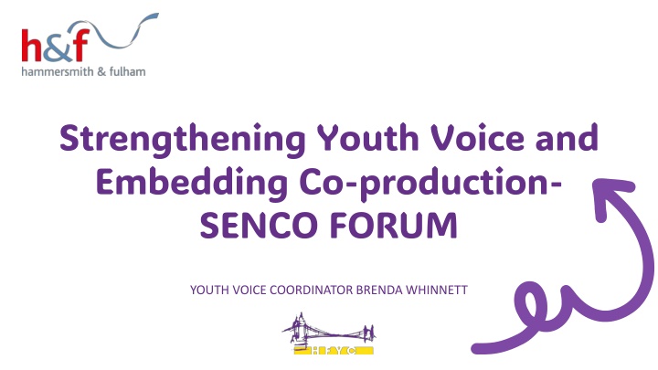 Strengthening Youth Voice and Embedding Co-production for Young People's Experiences