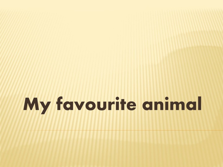 My favourite animal