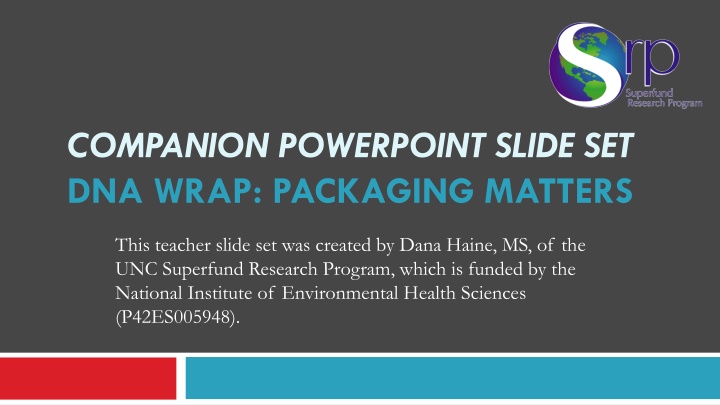 DNA Packaging and Epigenetic Mechanisms