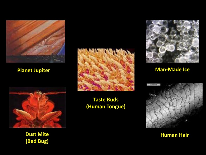 Magnified Images Study: Size Comparison & Calculation Formulas