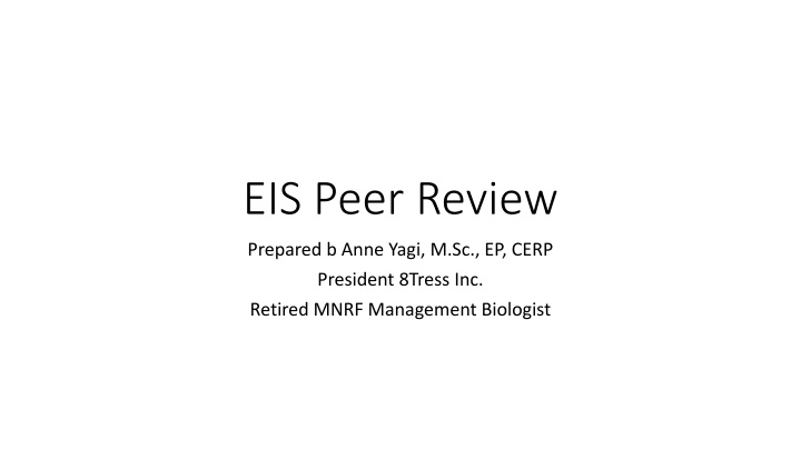 EIS Peer Review